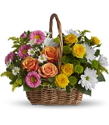 Sweet Tranquility Basket from Clermont Florist & Wine Shop, flower shop in Clermont